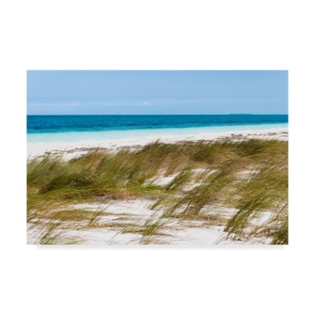 Philippe Hugonnard 'Wild Beach' Canvas Art,30x47